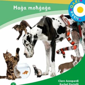 TIKKA QARI HAGA MOHGAGA L6