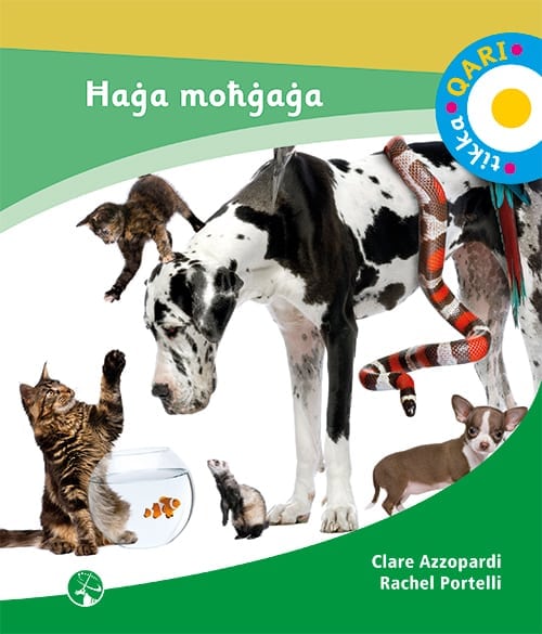 TIKKA QARI HAGA MOHGAGA L6
