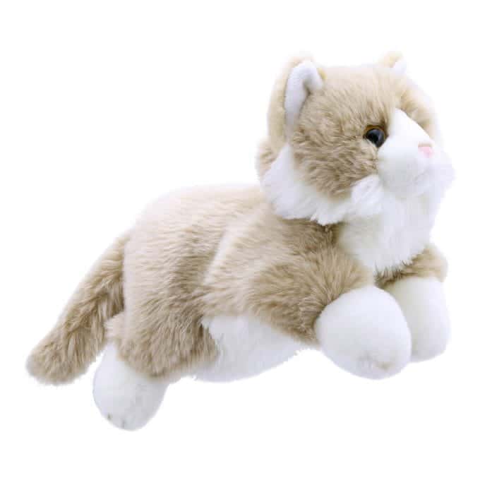 CAT BEIGE & WHITE FULL BODIED ANIMALS