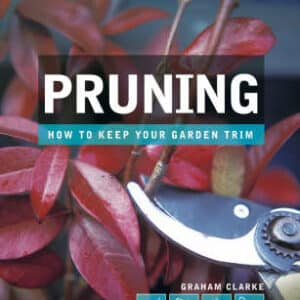 Pruning