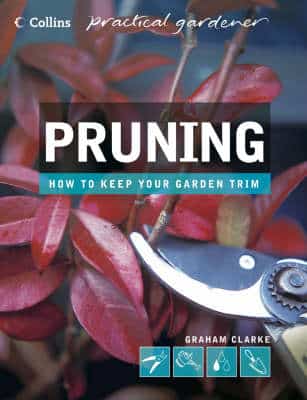 Pruning