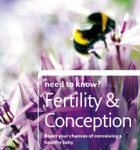 Fertility And Conception