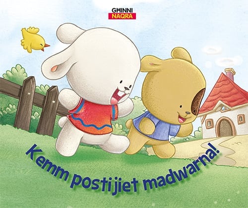 GHINNI NAQRA KEMM POSTIJIET MADWARNA