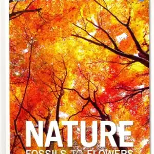 NATURE FOSSILS TO FLOWERS
