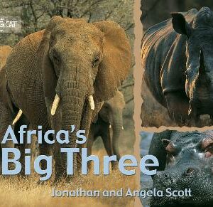 BIG CAT AFRICA'S BIG THREE