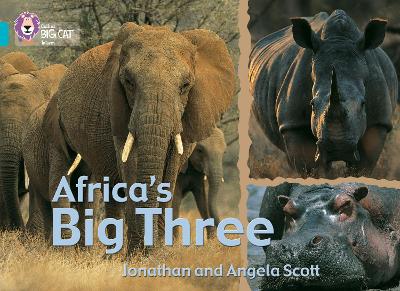 BIG CAT AFRICA'S BIG THREE