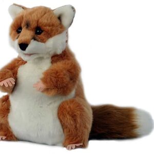 EUROPEAN WILDLIFE FOX