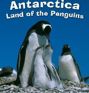 BIG CAT ANTARCTICA LAND OF THE PENGUINS