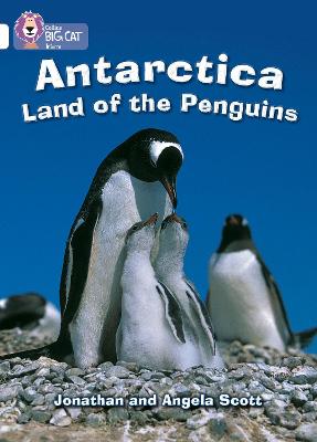 BIG CAT ANTARCTICA LAND OF THE PENGUINS