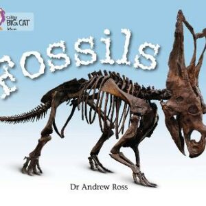 BIG CAT FOSSILS BAND 10 WHITE