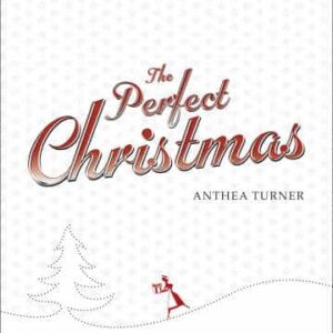 The Perfect Christmas