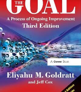 The Goal: A Process Of Ongoing Improvement