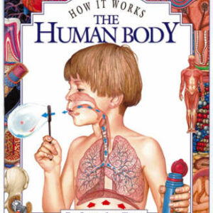 The Human Body