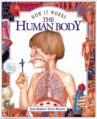 The Human Body