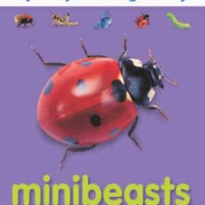 Mini Beasts