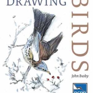 Drawing Birds