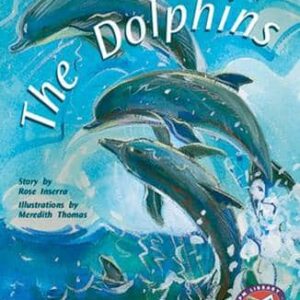 The Dolphins