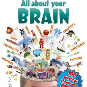 All About Your Brain