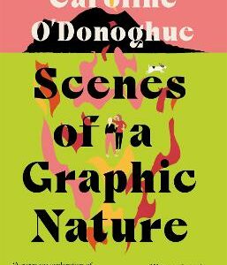 Scenes Of A Graphic Nature: 'A Perfect Page-Turner' (Dolly Alderton) From The Bestselling Author Of The Rachel Incident