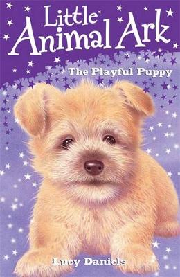 1: The Playful Puppy