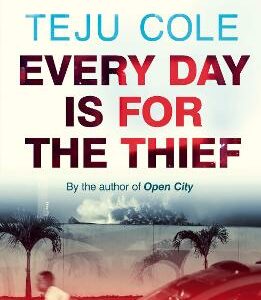 Every Day Is For The Thief
