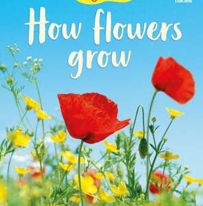How Flowers Grow