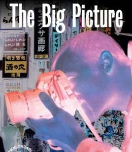 The Big Picture Level 1 Beginner/Elementary