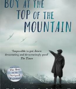 The Boy At The Top Of The Mountain