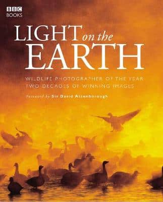 Light On The Earth