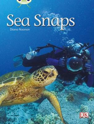 Bug Club Non-Fiction Green A/1B Sea Snaps 6-Pack