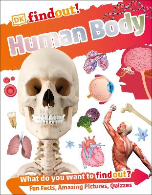 Dkfindout! Human Body