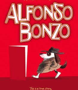 Alfonso Bonzo