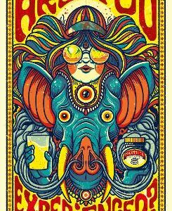 Are You Experienced?