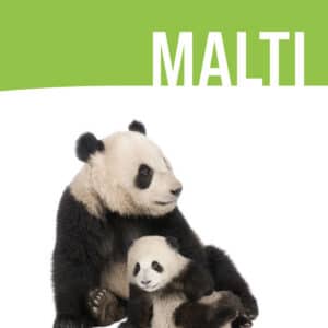 THINK & LEARN MALTI YEAR 4