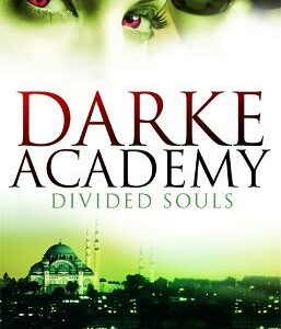 Divided Souls: Book 3