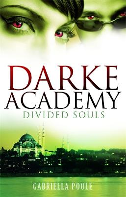 Divided Souls: Book 3