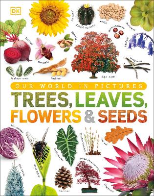 Our World In Pictures: Trees, Leaves, Flowers & Seeds