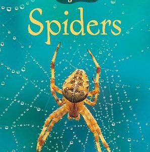 Spiders