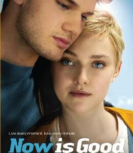 Now Is Good (Also Published As Before I Die)