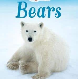 Bears