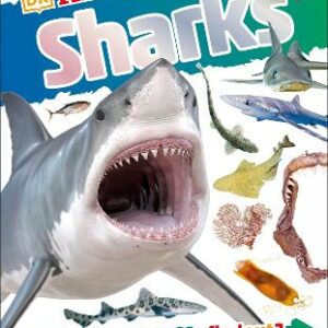 Dkfindout! Sharks
