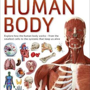 Human Body