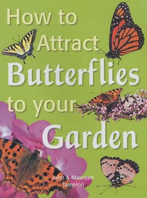 How To Attract Butterflies To Your Garden