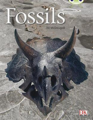Bug Club Non-Fiction Gold A/2B Fossils 6-Pack