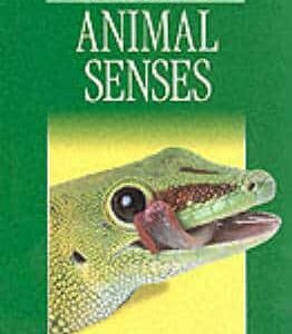 Elt Graded Readers:  Animal Senses