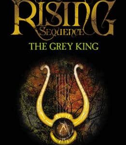 The Grey King