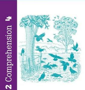 Ks2 Comprehension Book 4