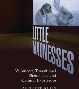 Little Madnesses: Winnicott, Transitional Phenomena & Cultural Experience