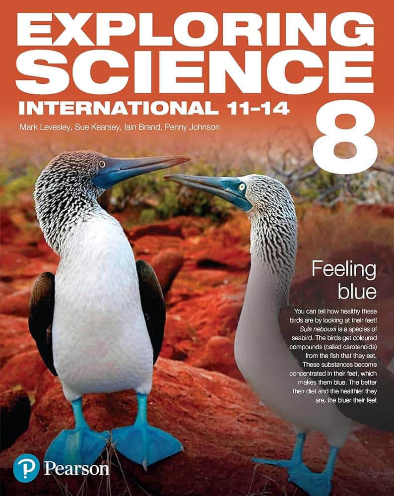 EXPLORING SCIENCE INTERNATIONAL 8 SB