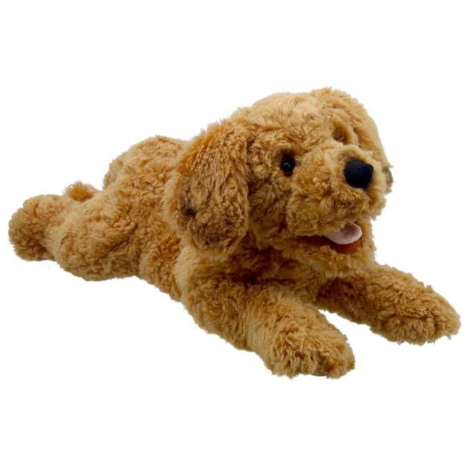 COCKAPOO PLAYFUL PUPPIES